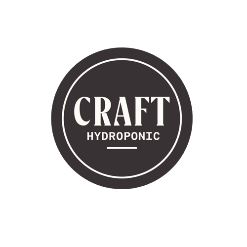 Craft